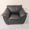 Black Leather Armchair - Svartur Leður Hægindastóll Bird