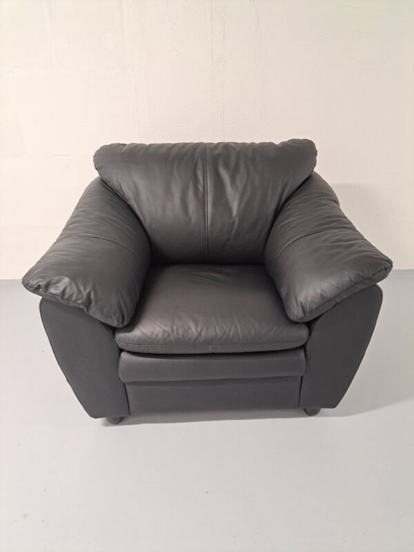 Black Leather Armchair - Svartur Leður Hægindastóll Bird